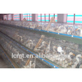 China manufacturers produce customized duck breeding equipment